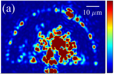 Experimentally collected speckle and out-of plane scattered light from an integrated speckle spectrometer.